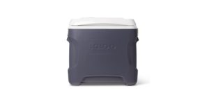 igloo 12v cooler