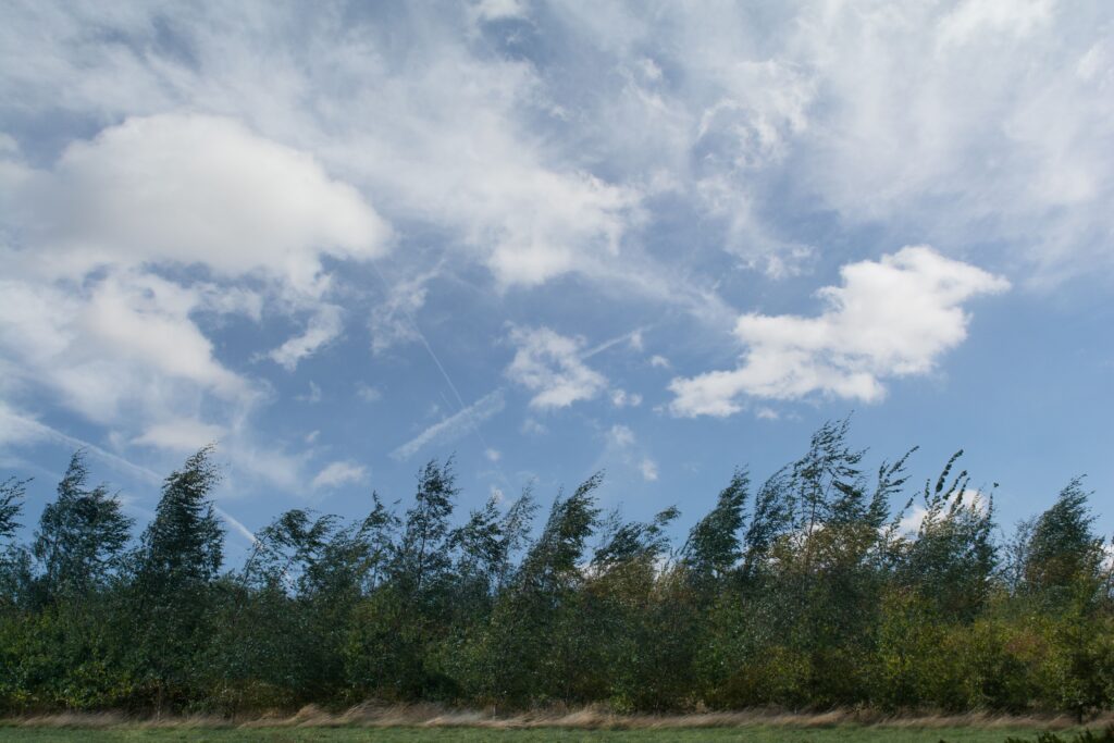 Untitled design 2024 02 19T214906.971