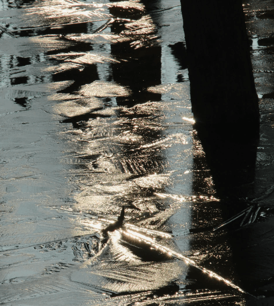 image 2024 02 19 222752717