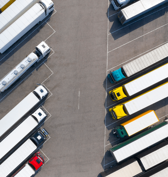 image 2024 02 19 224821963