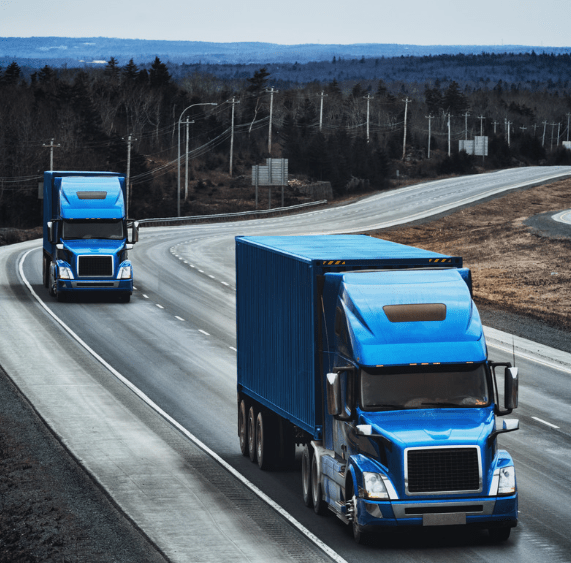 image 2024 02 21 003701877