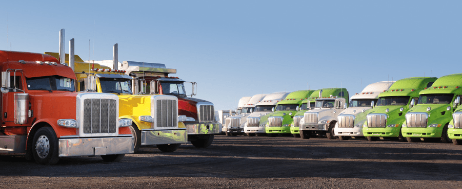 image 2024 03 12 003011202